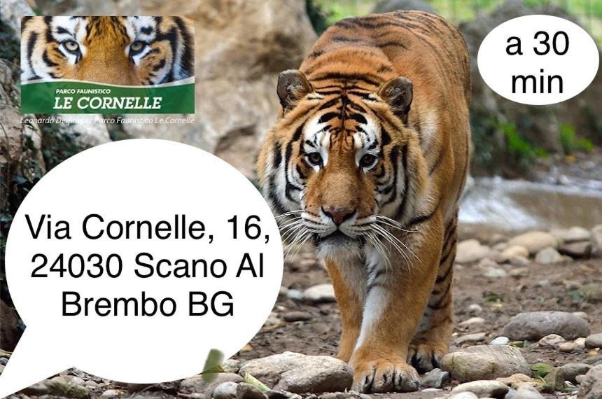 Villa 2 Cassano D'adda Bagian luar foto
